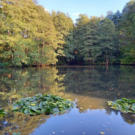 Ferienwohnung Am Waldsee Mit Schwimmbad 盖恩斯巴赫 外观 照片