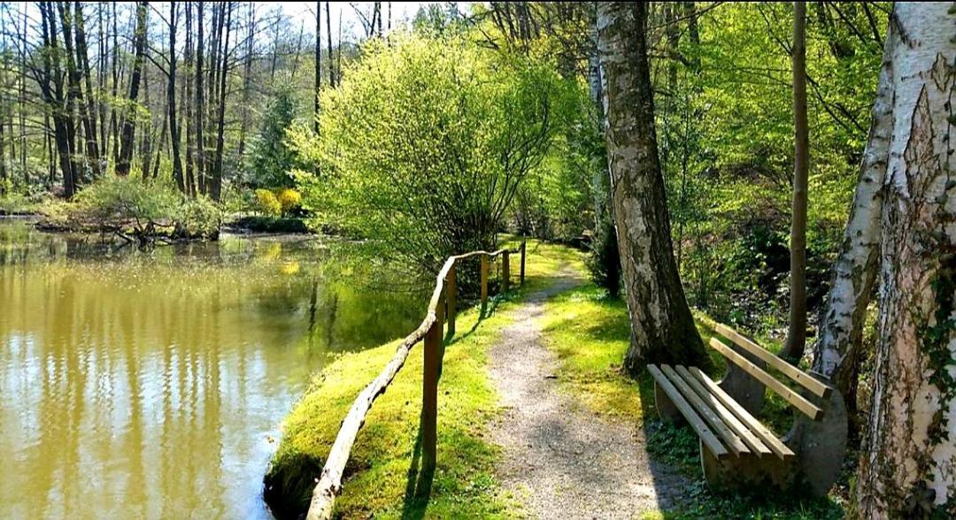 Ferienwohnung Am Waldsee Mit Schwimmbad 盖恩斯巴赫 外观 照片