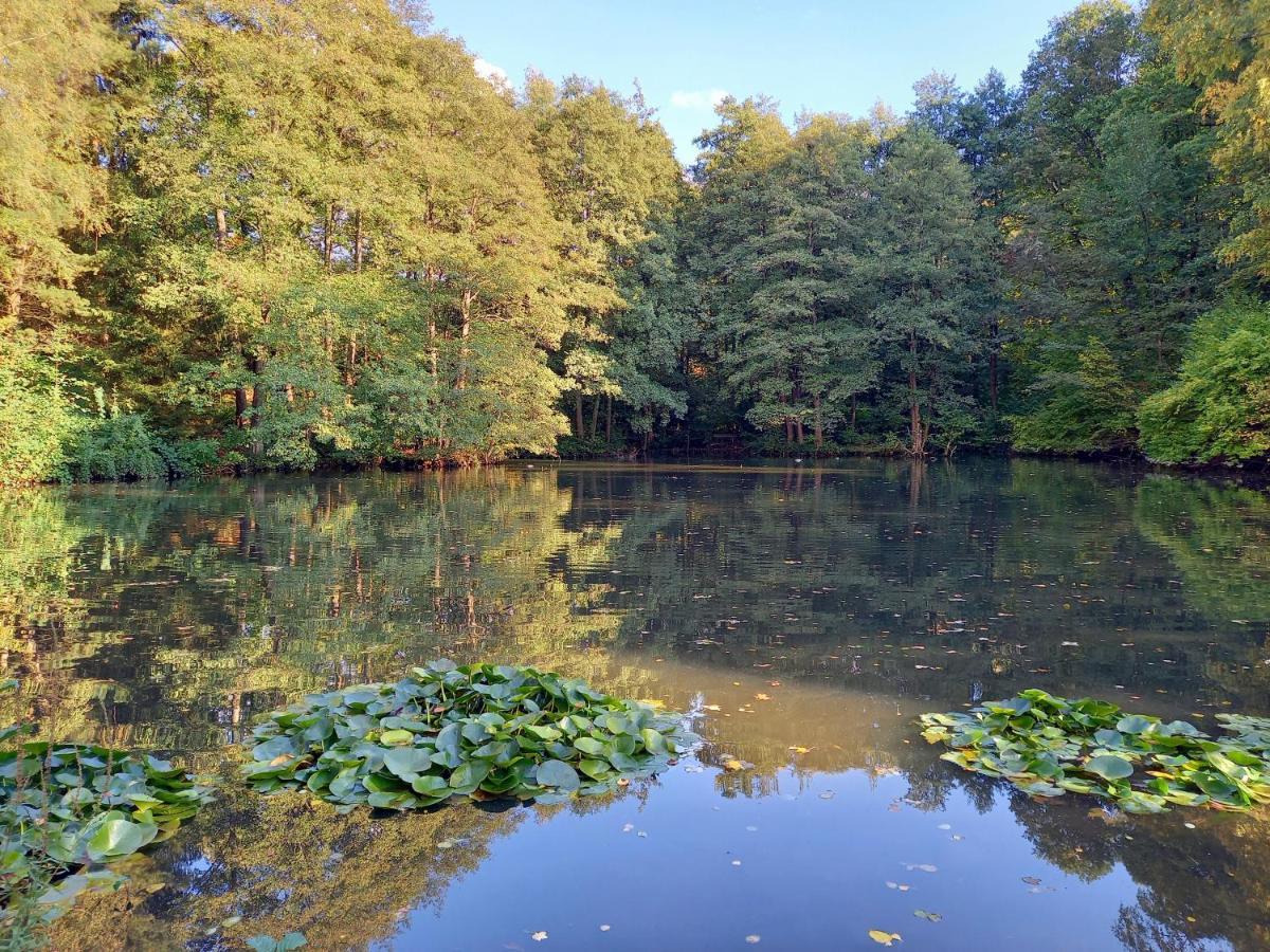 Ferienwohnung Am Waldsee Mit Schwimmbad 盖恩斯巴赫 外观 照片