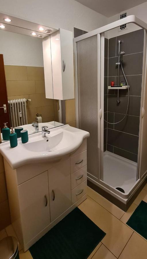 Ferienwohnung Am Waldsee Mit Schwimmbad 盖恩斯巴赫 外观 照片