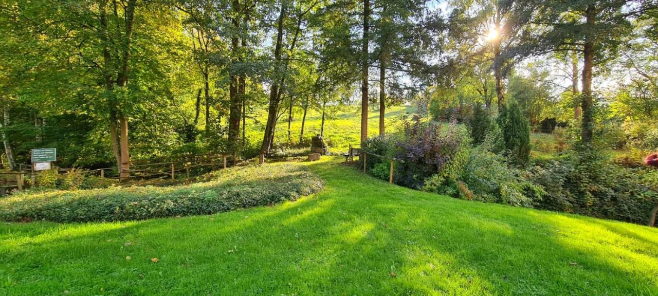 Ferienwohnung Am Waldsee Mit Schwimmbad 盖恩斯巴赫 外观 照片