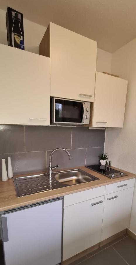 Ferienwohnung Am Waldsee Mit Schwimmbad 盖恩斯巴赫 外观 照片