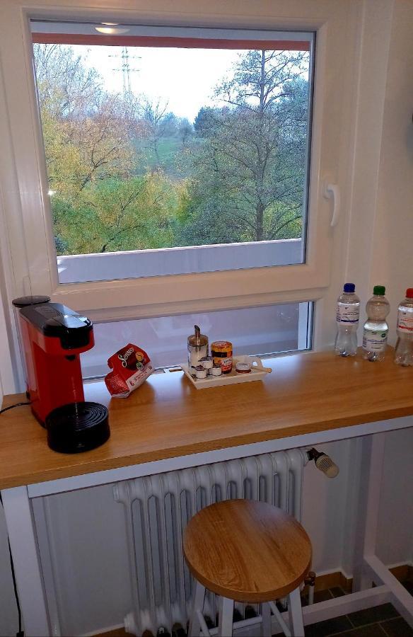 Ferienwohnung Am Waldsee Mit Schwimmbad 盖恩斯巴赫 外观 照片