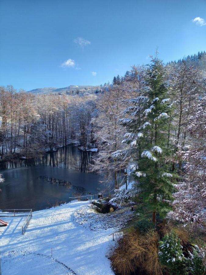 Ferienwohnung Am Waldsee Mit Schwimmbad 盖恩斯巴赫 外观 照片