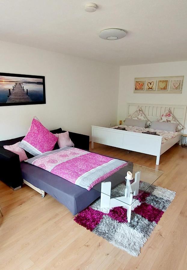 Ferienwohnung Am Waldsee Mit Schwimmbad 盖恩斯巴赫 外观 照片