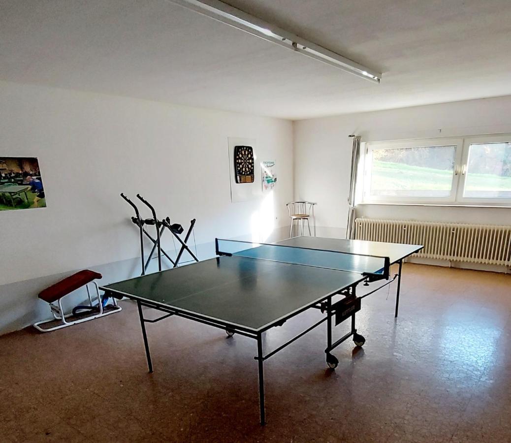 Ferienwohnung Am Waldsee Mit Schwimmbad 盖恩斯巴赫 外观 照片