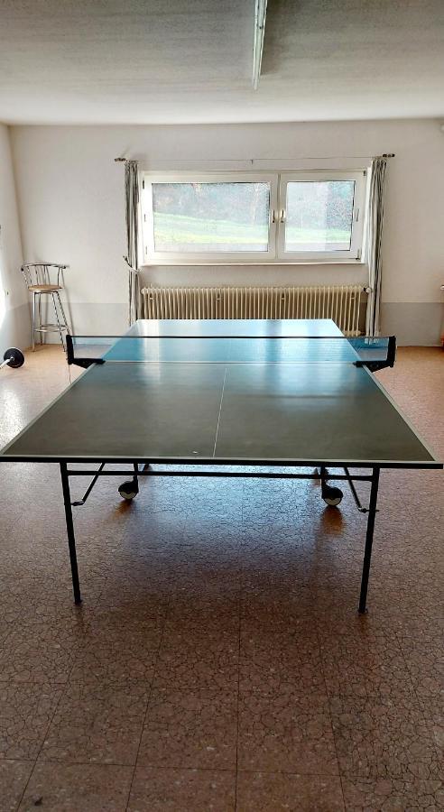 Ferienwohnung Am Waldsee Mit Schwimmbad 盖恩斯巴赫 外观 照片